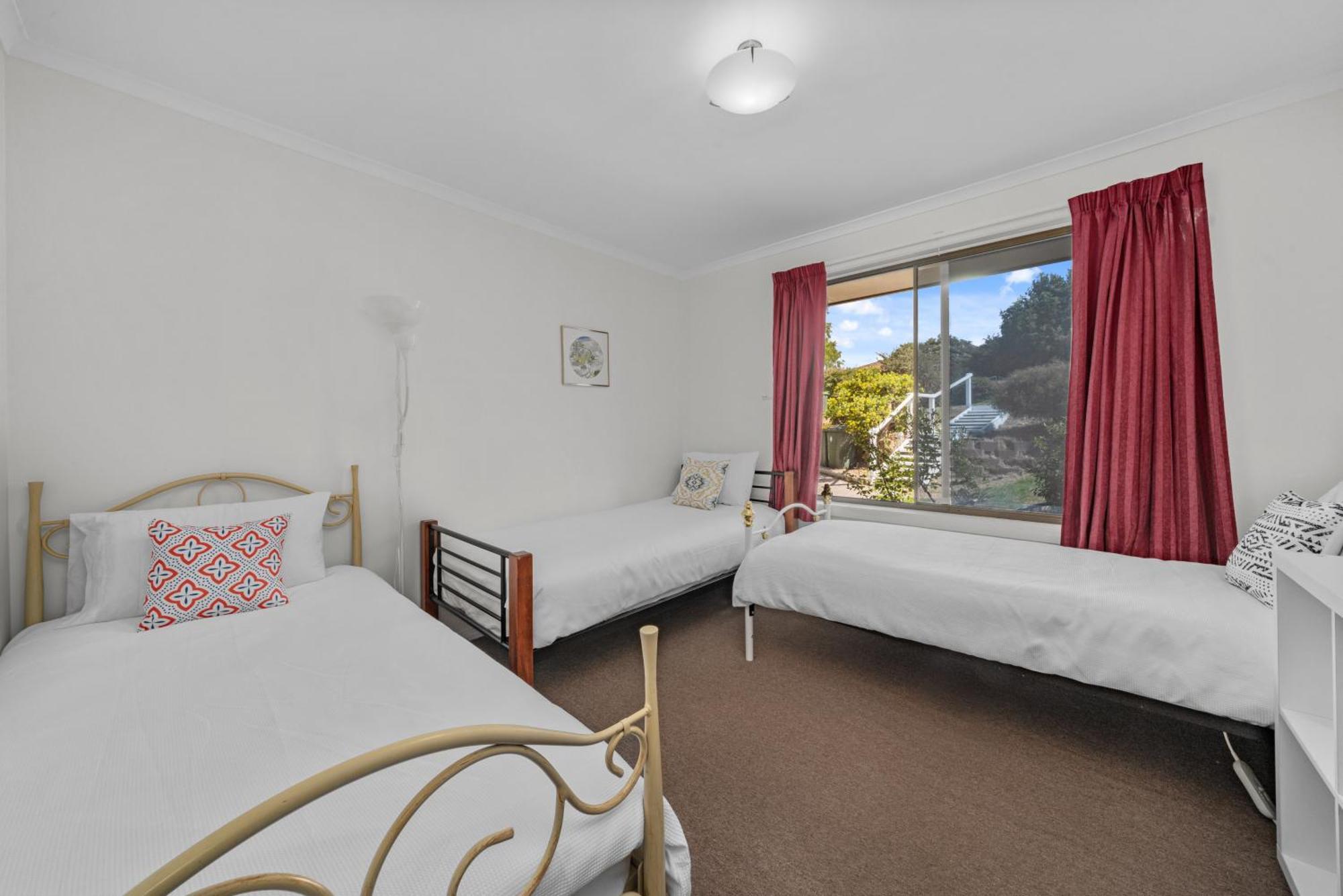 Cozy Plant Flat ,close To Cbd And * Kingston