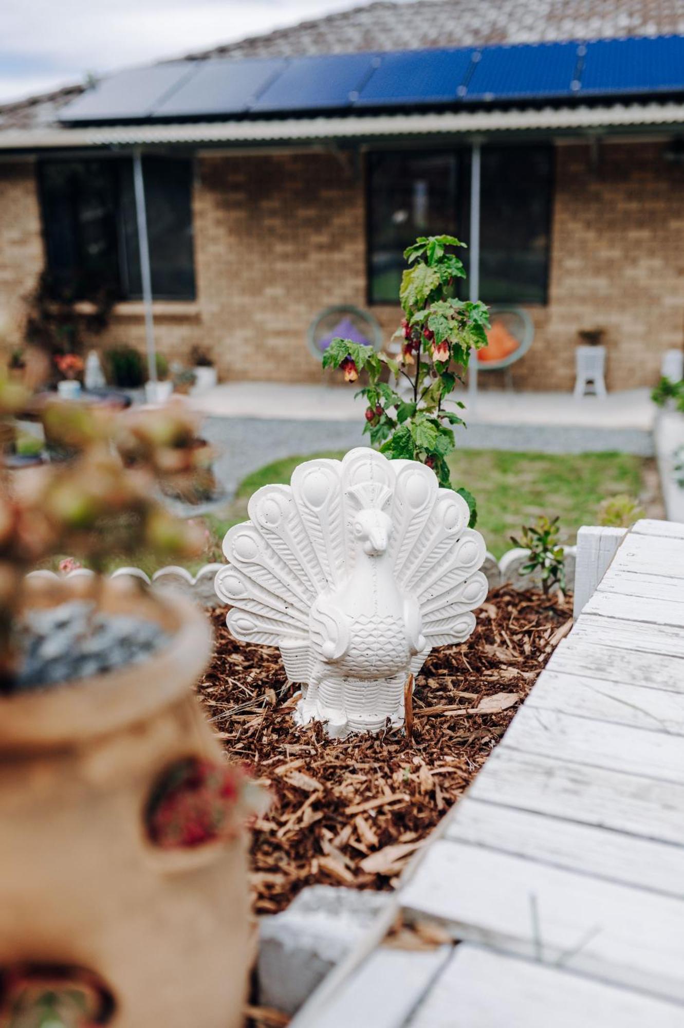 Cozy Plant Flat ,close To Cbd And Kingston