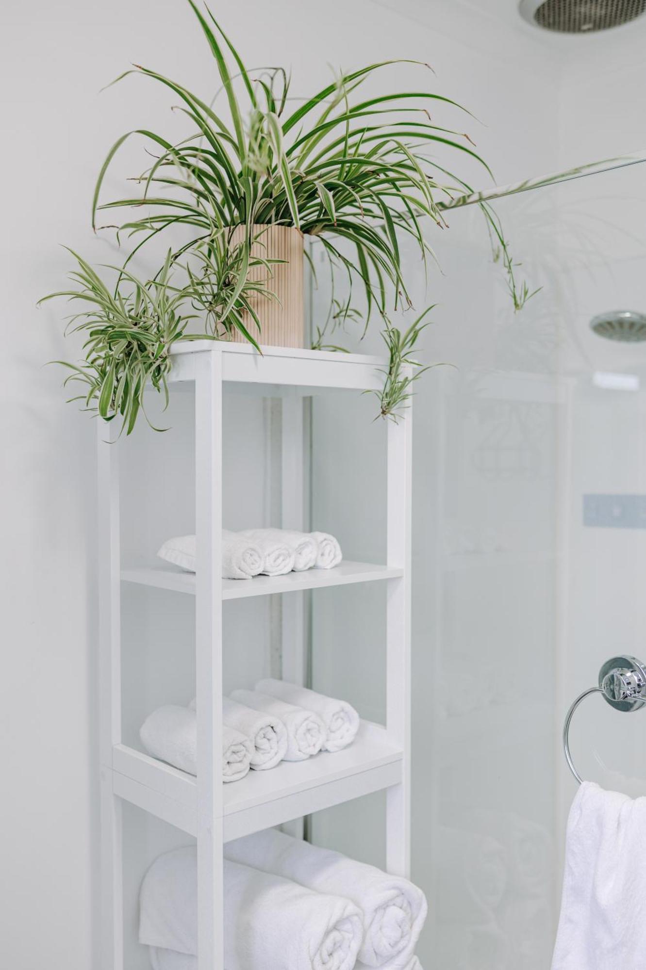 Cozy Plant Flat ,close To Cbd And