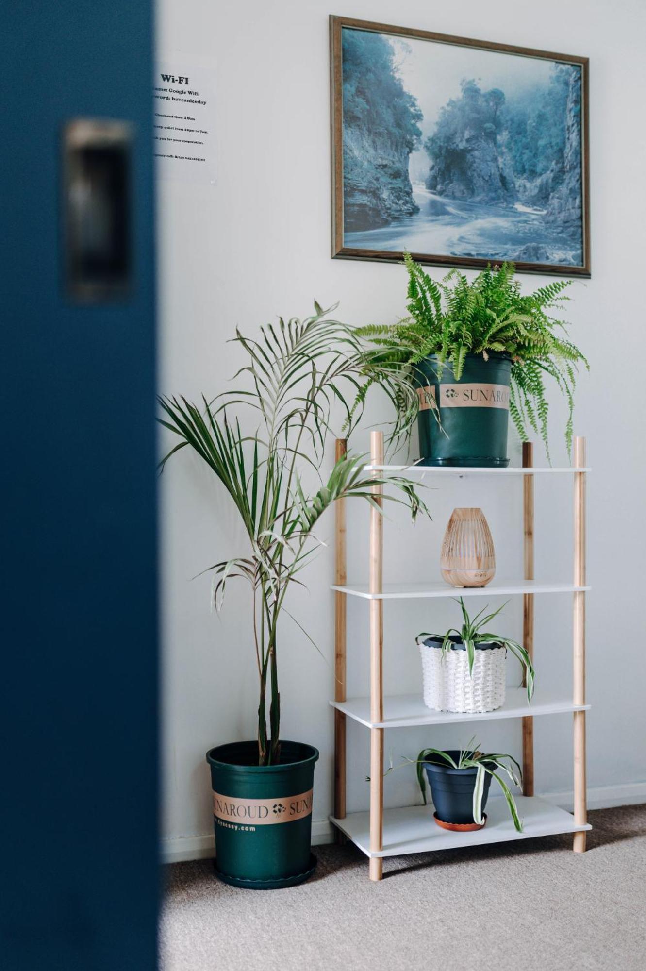 Cozy Plant Flat ,close To Cbd And Villa Kingston